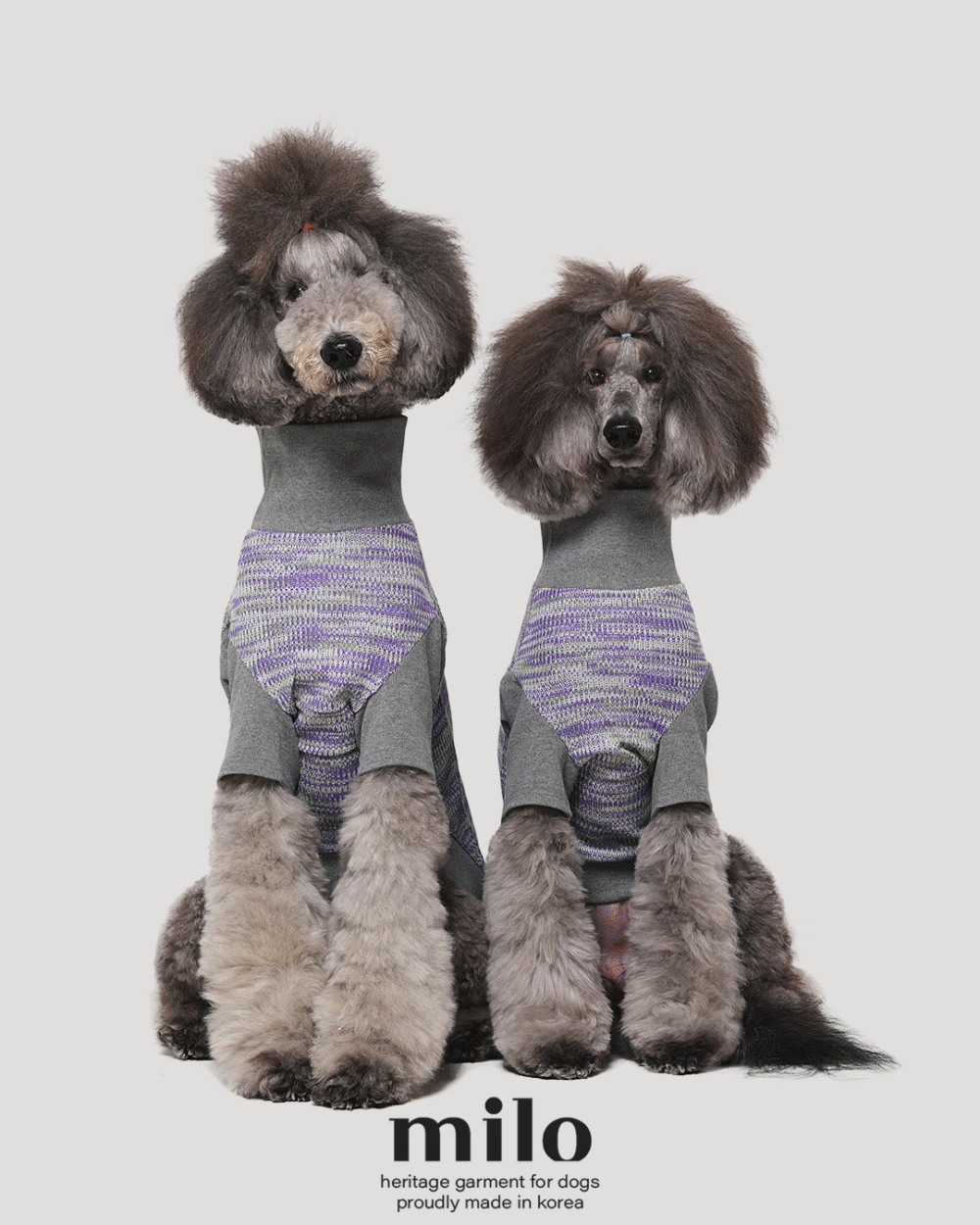 MILO 漸層針織衣