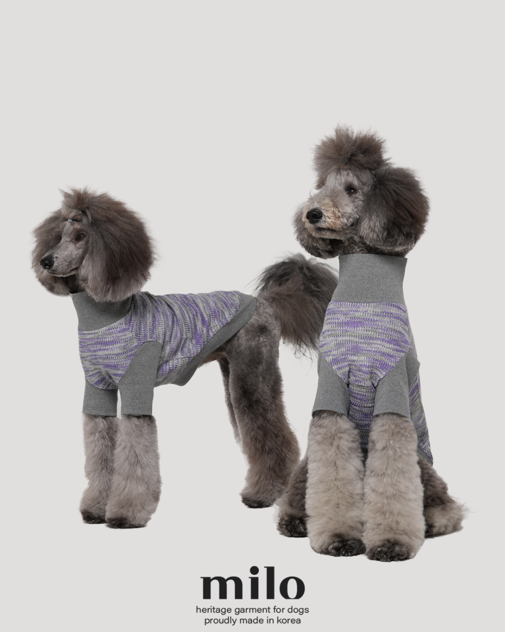 MILO 漸層針織衣