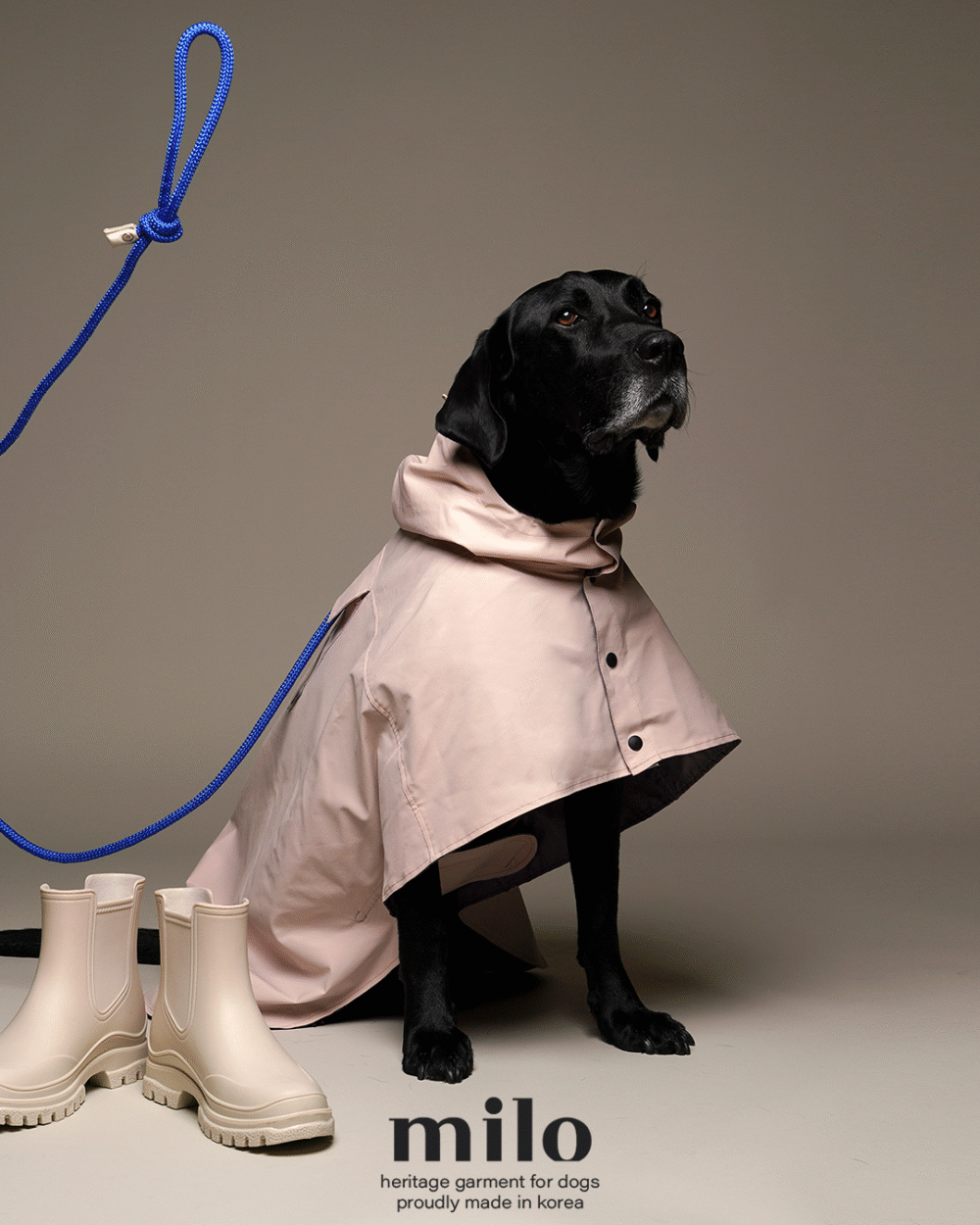 Milo 雨衣