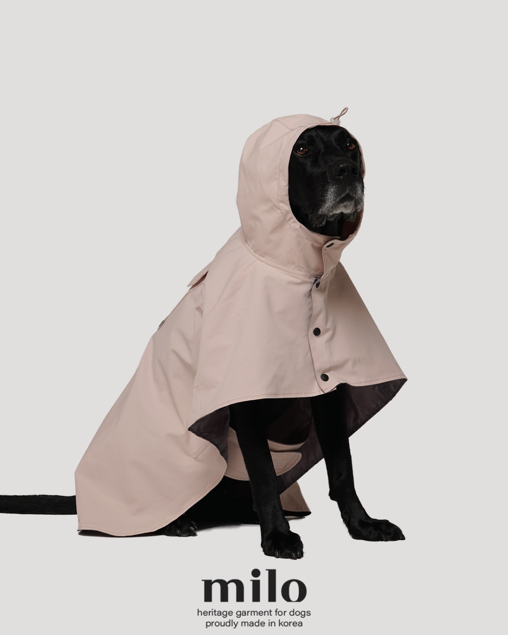 Milo 雨衣