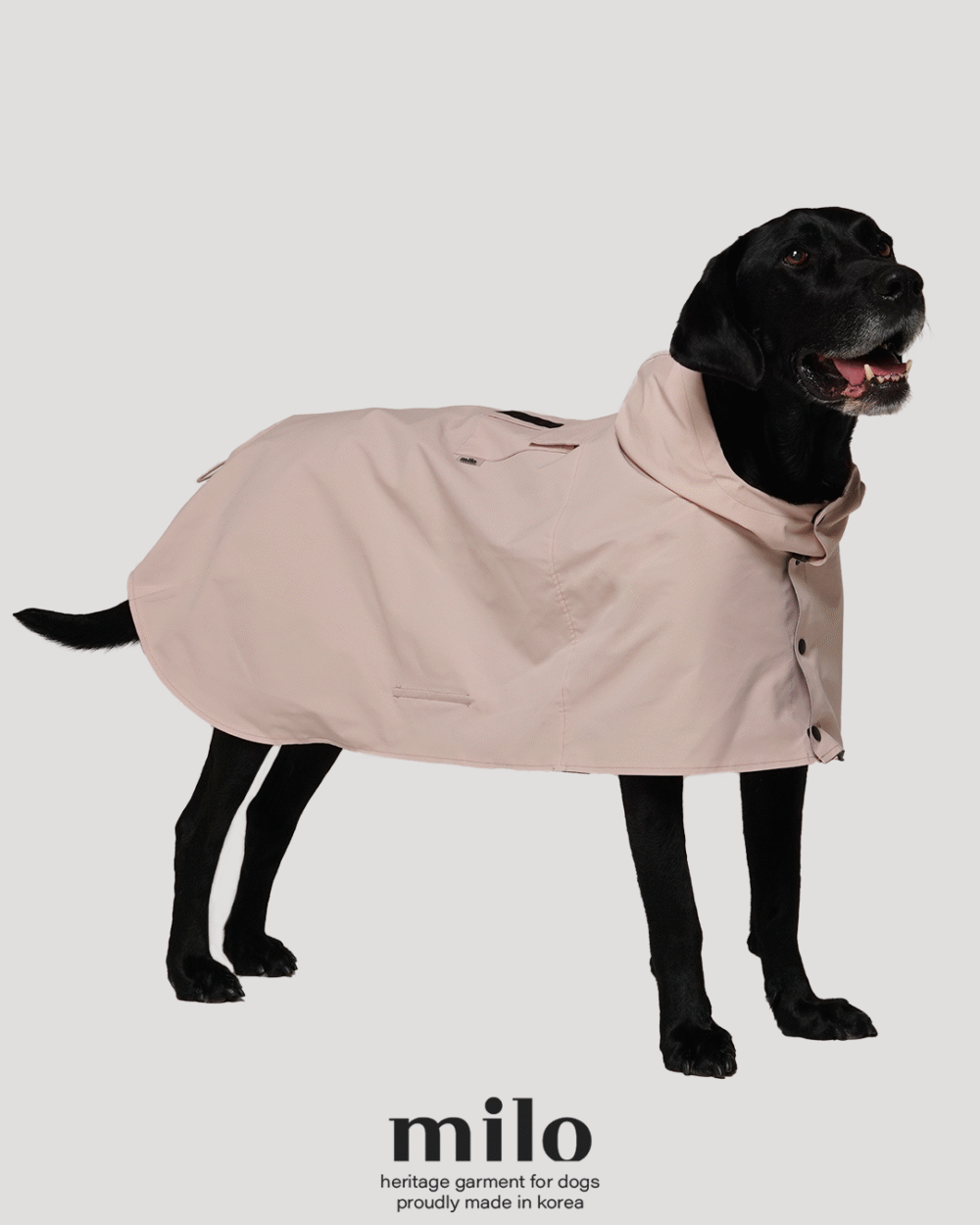Milo 雨衣
