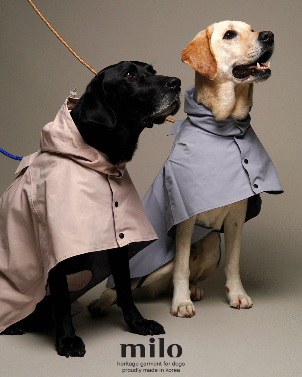 Milo 雨衣