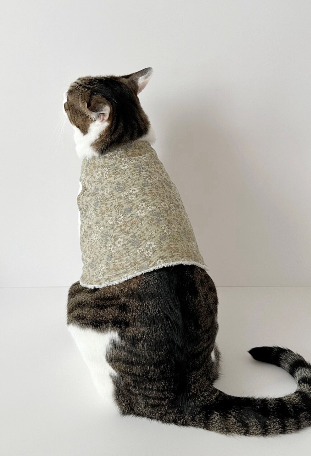 GYJJ 阿珠媽小雛菊短版背心