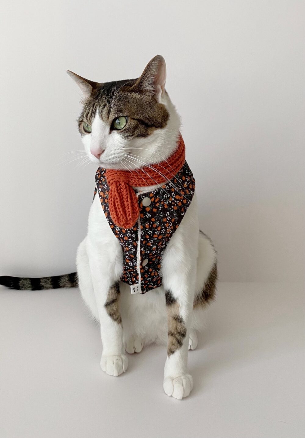 GYJJ正宗阿珠媽短版背心