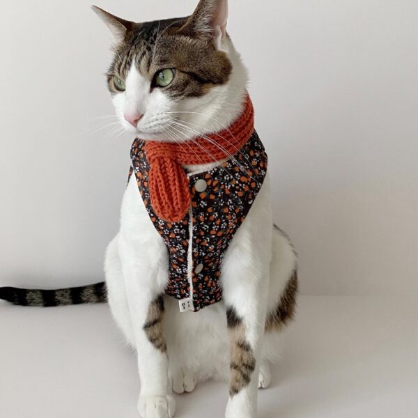 GYJJ正宗阿珠媽短版背心