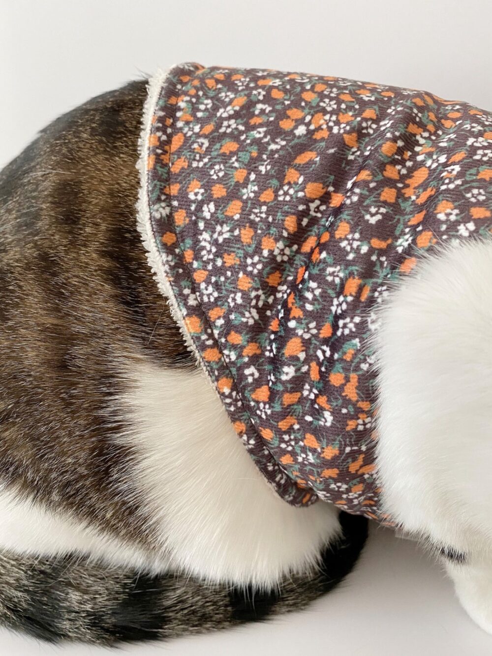 GYJJ正宗阿珠媽短版背心