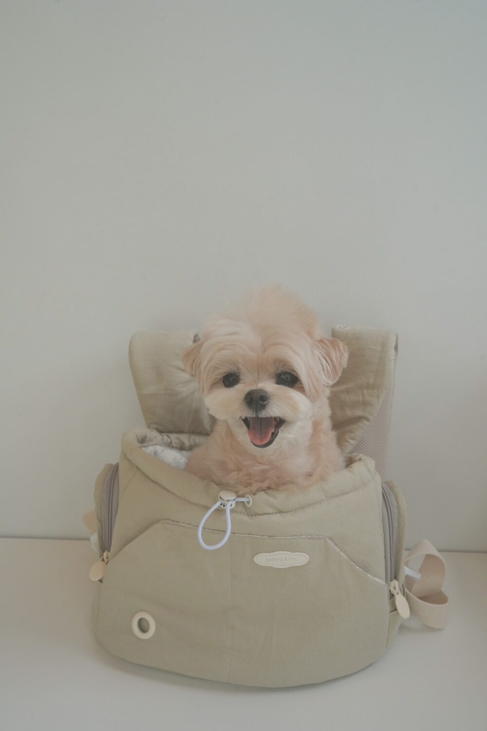 BABISYOUMG 寵物前背包bebe bag