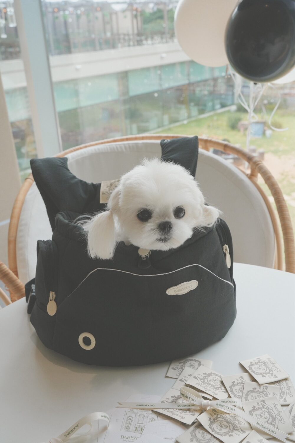 BABISYOUMG 寵物前背包bebe bag