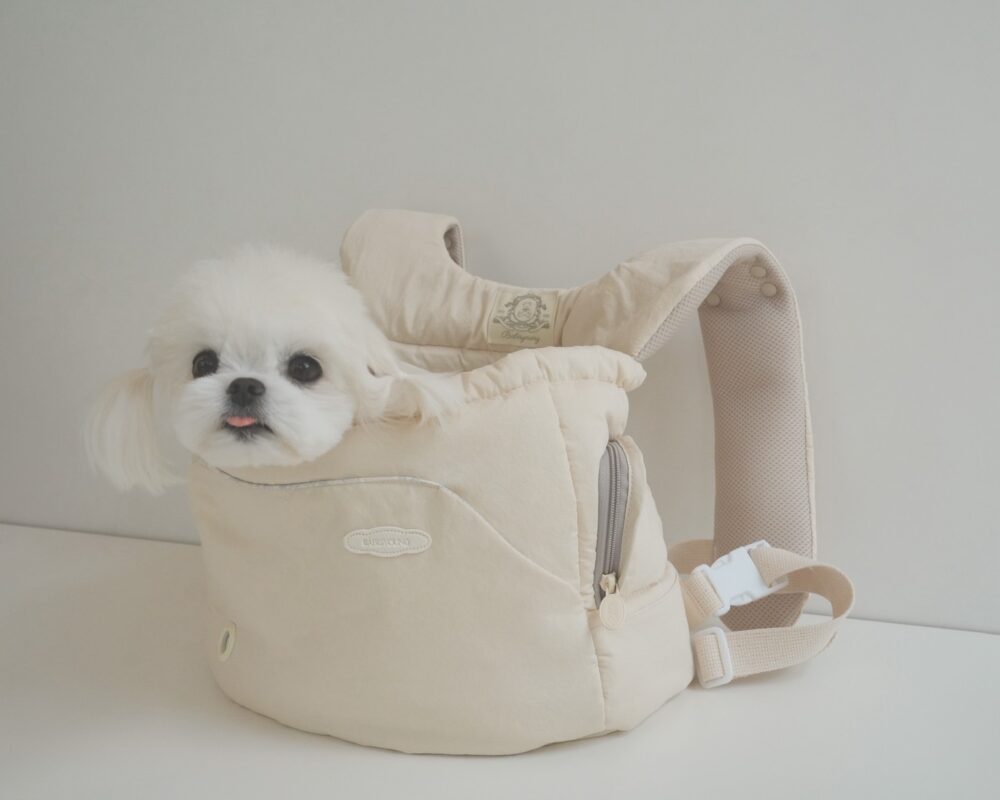 BABISYOUMG 寵物前背包bebe bag