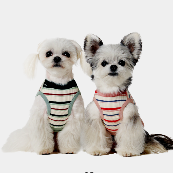 Stripe T(10) Milo 條紋棉質T-Shirt