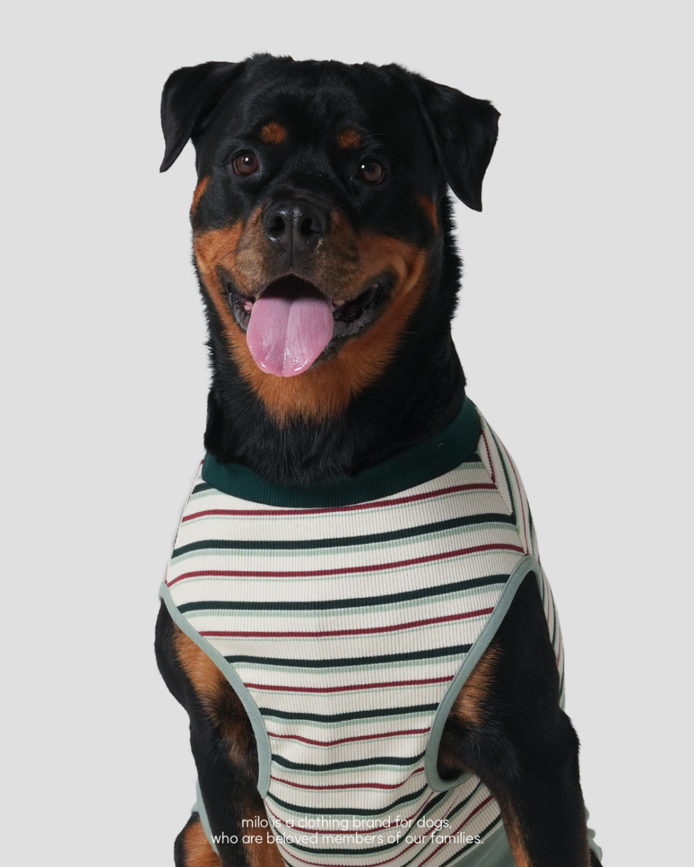 Milo 條紋棉質T-Shirt