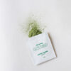 Gororong 貓薄荷粉