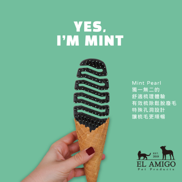 El Amigo 圓珠豬鬃毛系列